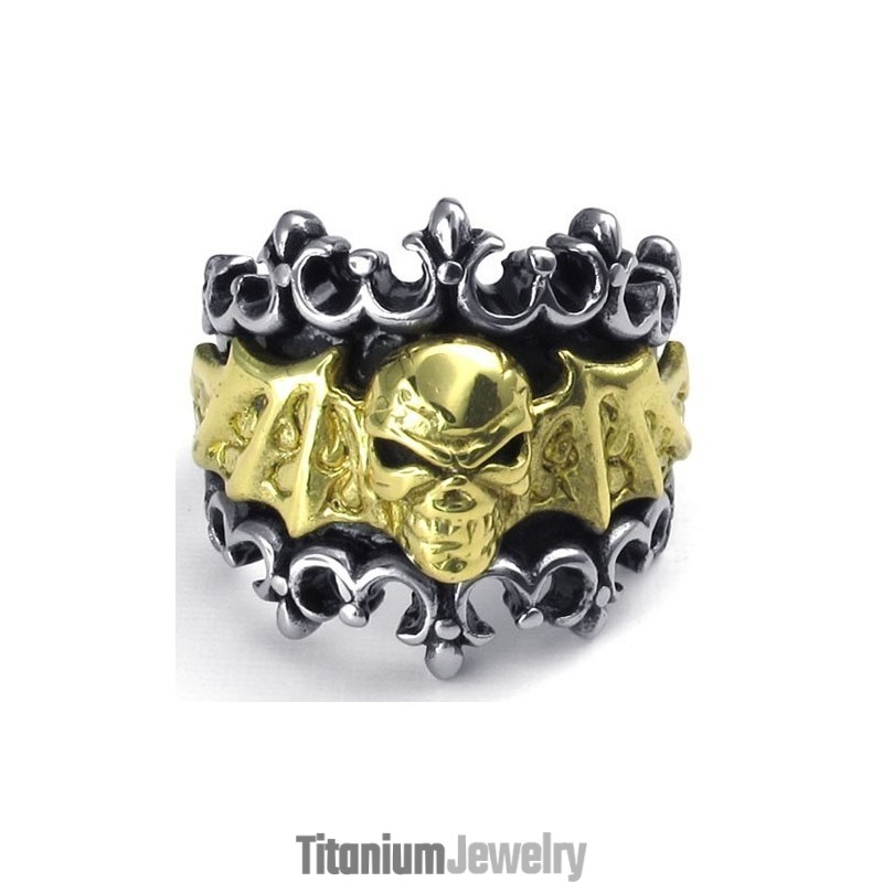 ייצור מיומן צבע זוהר עמיד בשימוש טבעת טיטניום