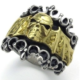 ייצור מיומן צבע זוהר עמיד בשימוש טבעת טיטניום