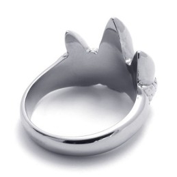 לבחירתכם צבעים עדינים טבעת טיטניום בעלת שם עולמי