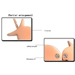 שרשרת טיטניום בצורת דג נמכרת היטב בכל רחבי העולם