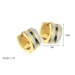 עגילי טיטניום קלים לשימוש עם דוגמא לקיר לנשים