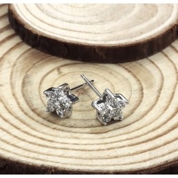 ידועים בזכות עגילי טיטניום בציפוי פלטינה ויהלום, באיכותם הגבוהה והנקבית, ללא אלרגנים