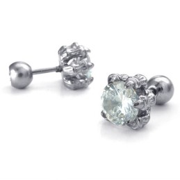 עגילי טיטניום באיכות גבוהה עם טכנולוגיה עדכנית וצבעים